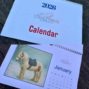 Stanley Brae Calendar featuring your favourite ponies 💙❤️